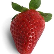 Strawberry  white background 