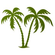 Palm tree 2
