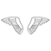 Wings6